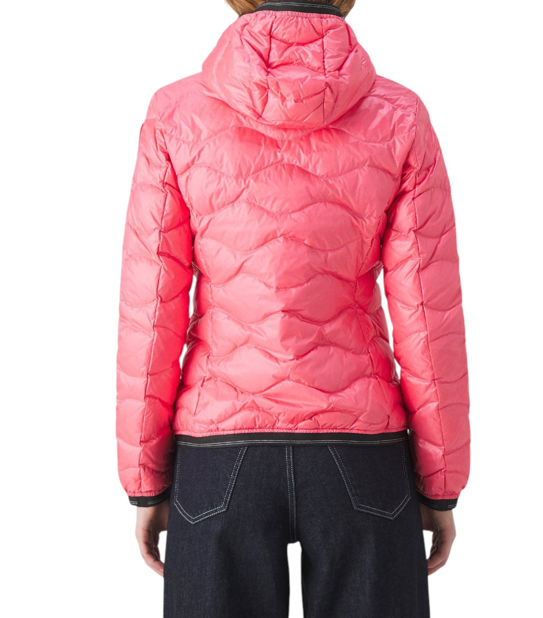 Blauer BASIC HOODIE ROLL STICHING Gewatteerde jas pinke grapefruit