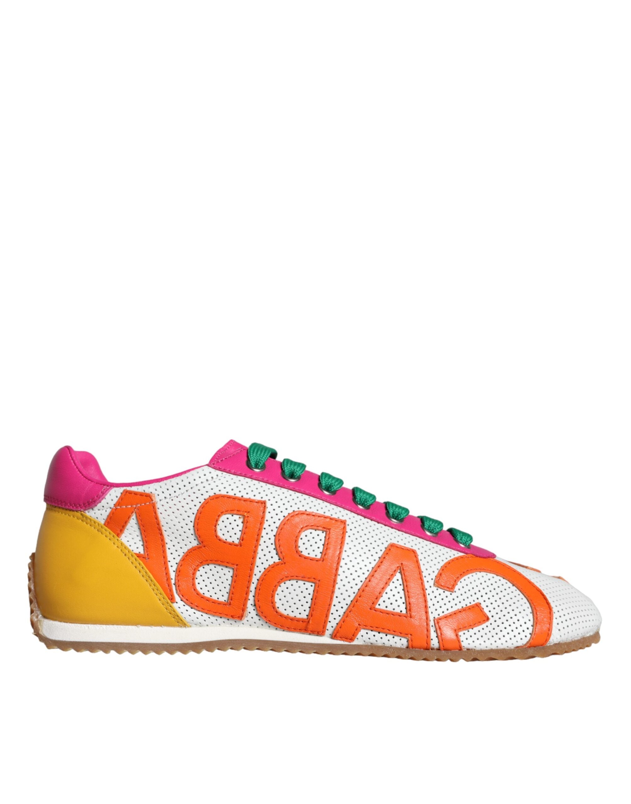 Dolce & Gabbana Meerkleurig Sneakers