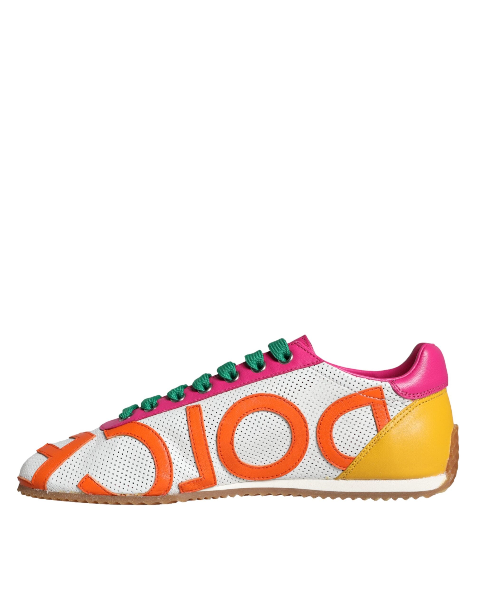 Dolce & Gabbana Meerkleurig Sneakers