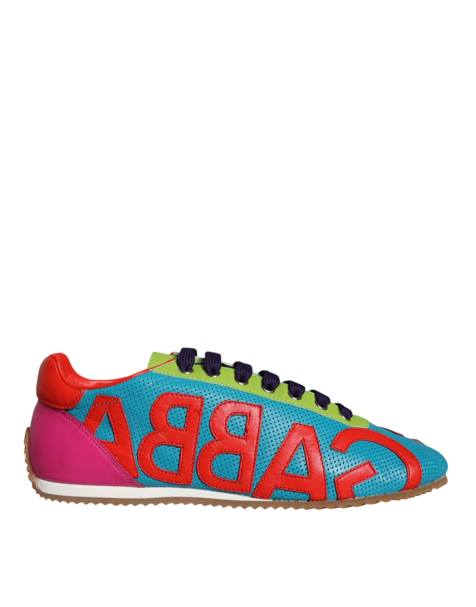 Dolce & Gabbana Meerkleurig Sneakers