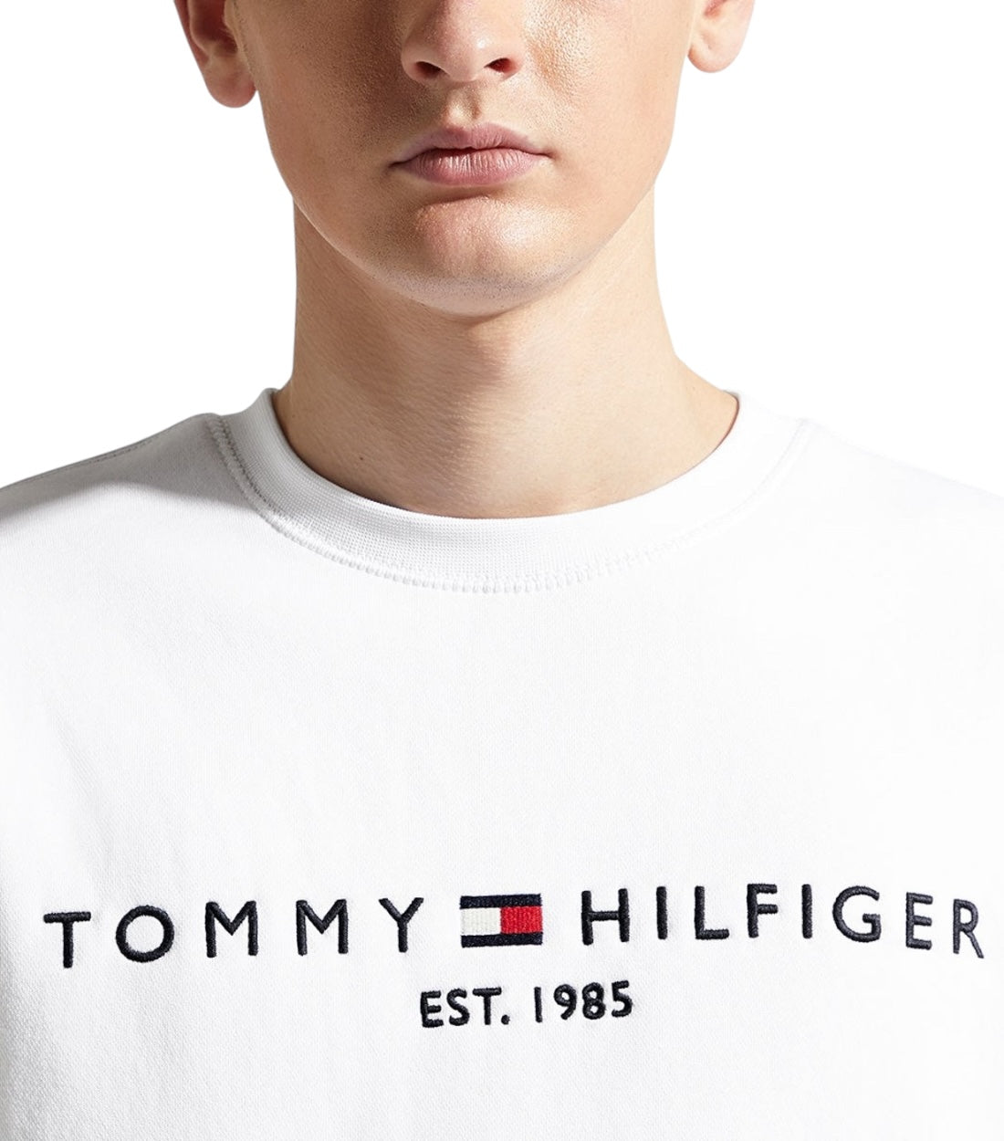 Tommy Hilfiger Wit Adapative Trui