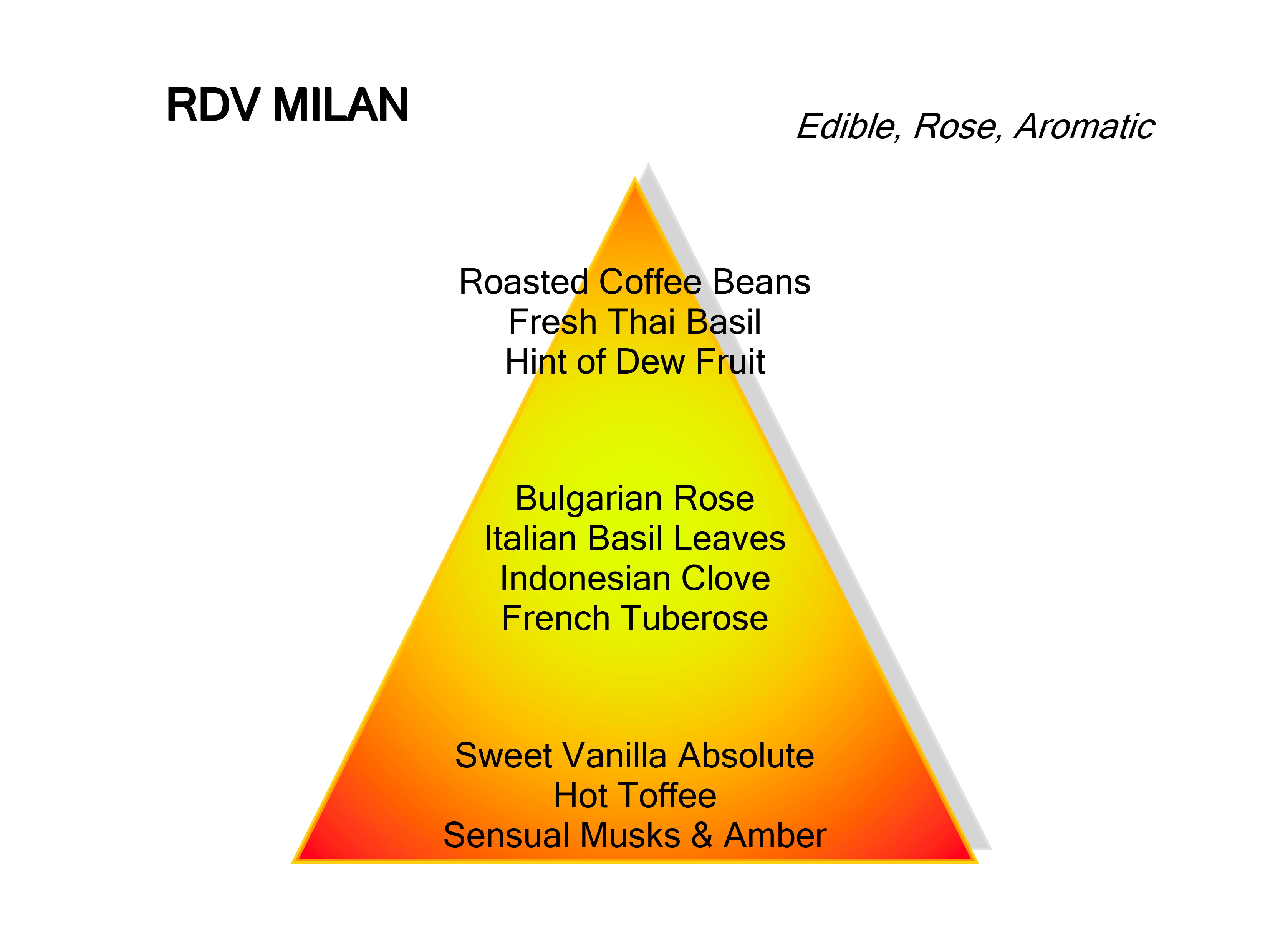 Montale Paris Rendez-Vous A Milan - Eau de Parfum - 100ML